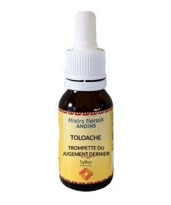 Toloache - Trompette du jugement dernier, 15 ml